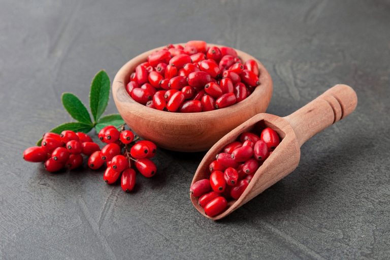 Read more about the article Βερβερίνη. Πόσο ωφέλιμη είναι για την υγεία;